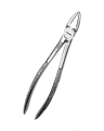Kleszcze Berteny do górnych korzeni Fig.30