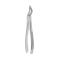 Kleszcze Bertena do ekstrakcji zębów przedtrzonowych górnych Fig. 34