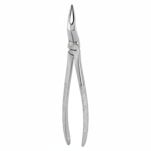 Kleszcze Berteny górne korzenie Fig. 97 oraz 97L