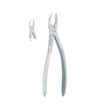 Kleszcze dentystyczne Witzel Fig.1