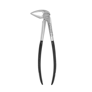 Kleszcze stomatologiczne Berten fig. 33 L do ekstrakcji dolnych korzeni czarna ceramika